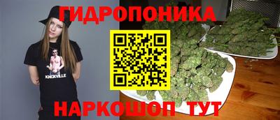 скорость Гусь-Хрустальный