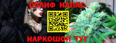 стафф Гусиноозёрск