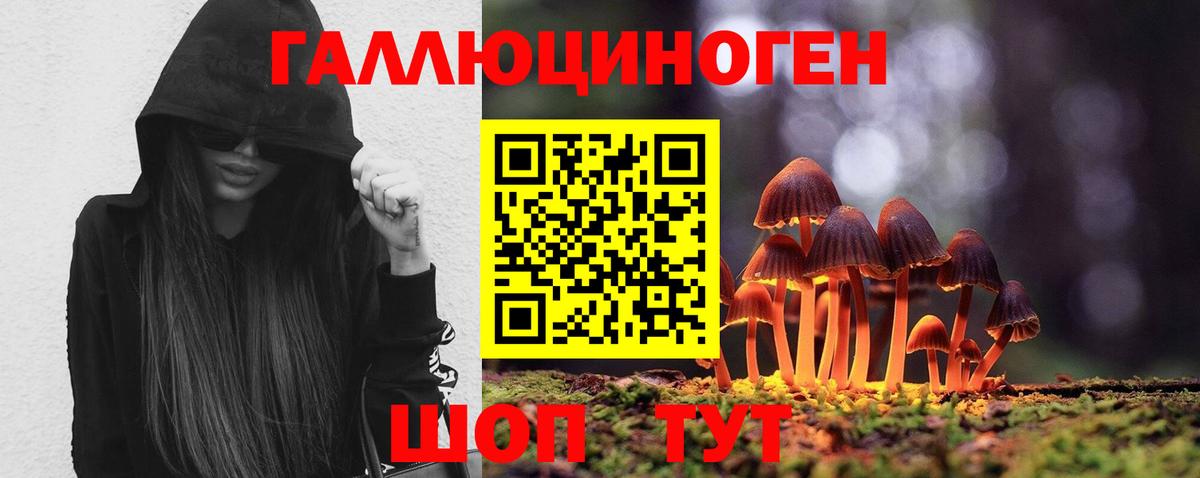 Миллерово  Псилоцибиновые грибы Psilocybine cubensis  Вход с VPN 